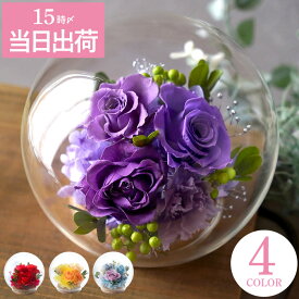 花 母親 誕生日 プレゼント 還暦祝い プリザーブドフラワー お祝い 花 『彩りバブル ドーム 』 古希祝い 米寿 喜寿祝い 赤 紫 黄 ギフト 退職祝い 誕生日プレゼント 義母 女性 60代 50代 おばあちゃん 結婚祝い 結婚記念日 両親 ガラスドーム バラ プリザ クリスマス FLEGRE