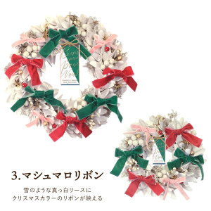 _ 50~N[|^ NX}X[X    d w  NX}X [X 25cm/34cmx k  傫 i` NX}Xp[eB[ t  vU[uht