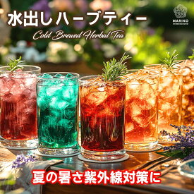 《新商品》ハーブティー ティーバッグ 水出し お試し 無添加 セット リラックス アソート バラエティー 詰め合わせ ティーパック お茶 専門店 ルイボス 月桃茶 モリンガ ホーリーバジル はじめて