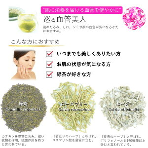 sVitn[ueB[ eB[obO o  Y Zbg bNX A\[g oGeB[ lߍ킹 eB[pbN  X C{X  K z[[oW 