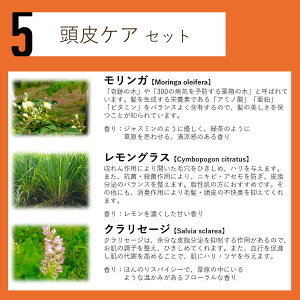 n[uEH[^[  ϐ t[EH[^[ F GLX [V EH[^[ A}  Iׂ AGLX nCh] }XNXv[ A}Xv[ Xv