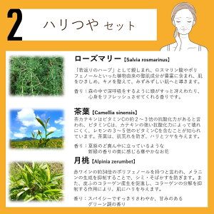 y33OFF|Cgő10{zn[uEH[^[  ϐ t[EH[^[ F GLX [V EH[^[ A}  Iׂ AGLX nCh] }XNXv