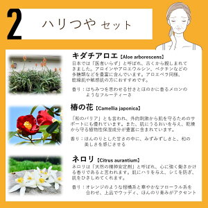 n[uEH[^[  ϐ t[EH[^[ F GLX [V EH[^[ A}  Iׂ AGLX nCh] }XNXv[ A}Xv[ Xv