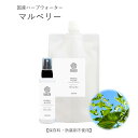 【ポイント最大10倍★お買い物マラソン】《新商品》マルベリー 桑の葉 ハーブウォーター 化粧水 フローラルウォーター 芳香蒸留水 エキス ローション ウォーター アロマ 送料無料 植物エキス ハイドロゾル マスクスプレー アロマスプレー 頭皮 手作り化粧水 スプレー