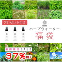 【37％OFF★7/2～7/12】ハーブウォーター 福袋 化粧水 フローラルウォーター 芳香蒸留水 エキス ローション ウォーター アロマ 送料無料 選べる 植物エキス ハイドロゾル マスクスプレー アロマスプレー 頭皮スプレー 手作り化粧水