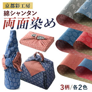 C~  { ڎO ( 48×48cm ) s furoshiki ӂ낵 ȃV^ʐ GRobO ` OK [֑ a ei hV̓ җ v[g CO yY