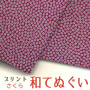 @  { s aĂʂ 100%   vg a a a v`Mtg ei hV̓ hV LOi 300~ җ v[g mxeB  4ȏ Zbg Ń