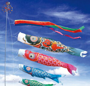 []îڂ뉀X^hZbg()YS[h3m6_Zbgy113-950z