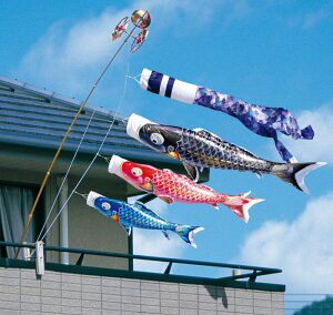 îڂCZbg2m6_Zbgy120-170zkx_pl