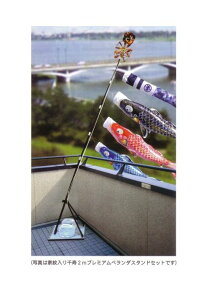 îڂv~Ax_X^hZbg2m6_Zbgy116-870zkx_pl