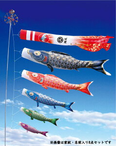 îڂ ^Zbgy̋P ^Ezz5m6_Zbg(003-763)