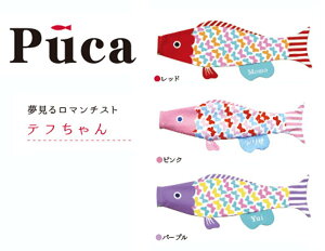 îڂ ̂ڂPuca(v[J)yetzSTCY