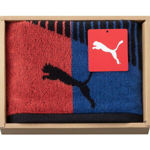 yjMtg zPUMA v[} X|[c^IibhjyoYj j Ԃ jMtg  piG݁z y̓ ̓Mtg X|[c^I ^IMtg Mt