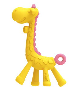 xjR L̂͂()ysNzT43004