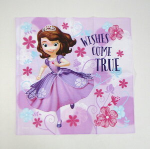  `[t(唻nJ`)y\tBAzt[X^C(20)43×43cm(2065021100)