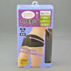 { Y㍜ՃPAxgyN3810bubNFLLE3Lz