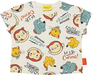 iJ^ ̃W[WTVc SN3012^SN8831