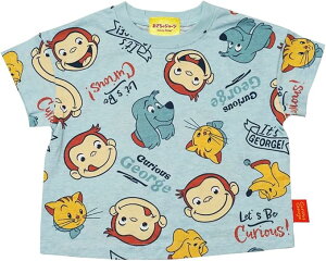 iJ^ ̃W[WTVc SN3012^SN8831