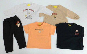 (ꌧ)iJ^ߗނ̕܁ỹW[Wz@WN1265_2024NVt Vt