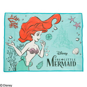 [ւő EW[V[g2`3lpyAG Ou[z2065048100(90×120cm)g}[Ch