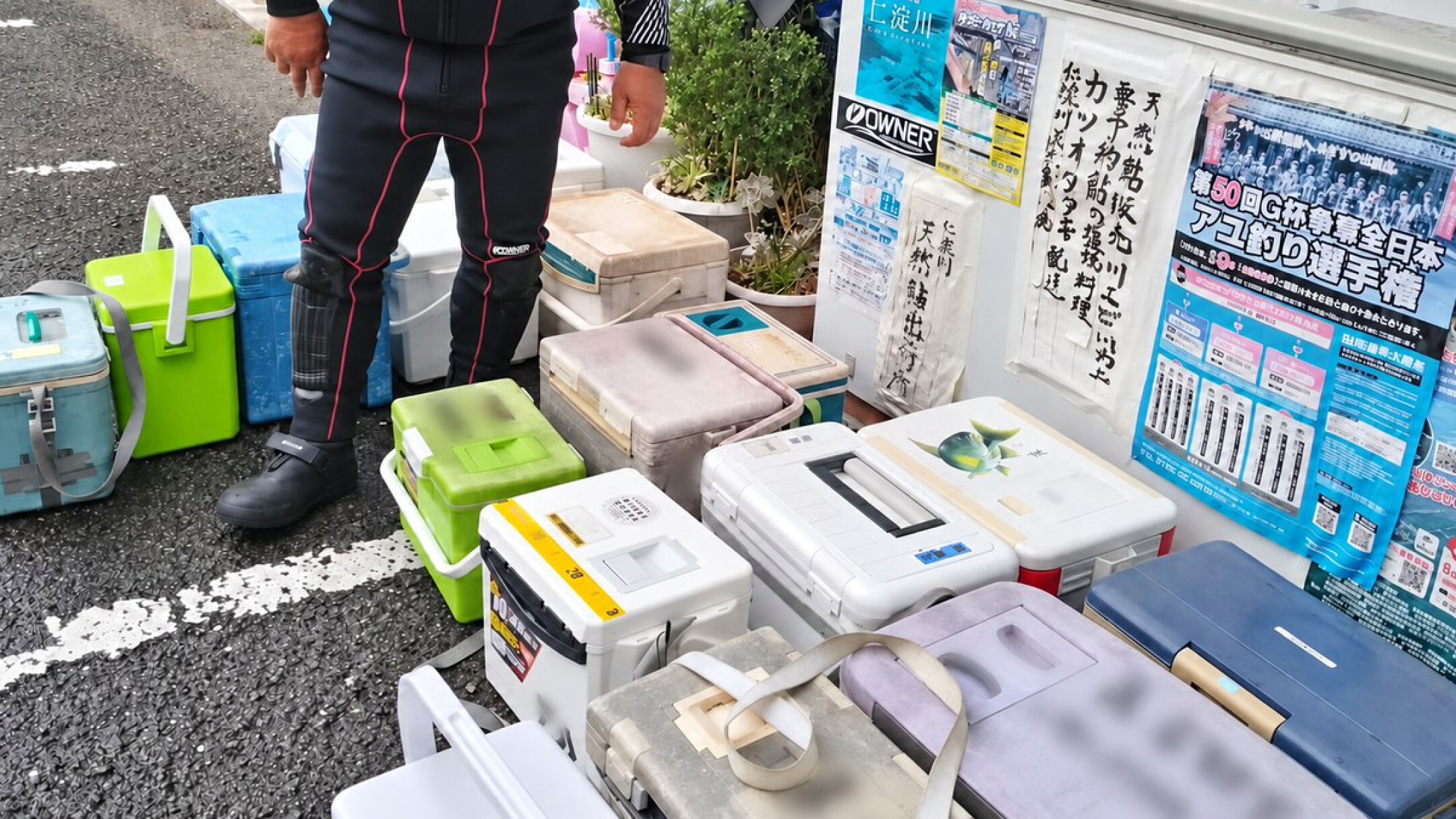 釣り上げた天然鮎を生きたまま天然鮎の卸・岸本さんへ持ち込む様子