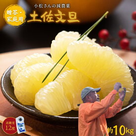 糖度12度 高知県産 土佐文旦 減農薬 約10kg 文旦 贈答・家庭用 2L-L混合 パール柑 ブンタン 送料無料