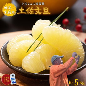 糖度12度 高知県産 土佐文旦 減農薬 約5kg 文旦 贈答・家庭用 2L-L パール柑 ブンタン 送料無料