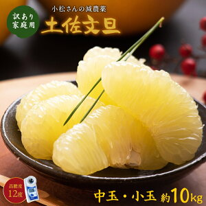 _1{\^ mY yU   p 10kg U x12x s[ ƒp 󂠂 u^ 