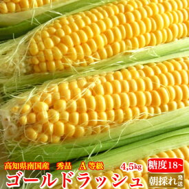 ＼6月下旬発送予約／ 糖度18度 ゴールドラッシュ 生とうもろこし A等級 約4,5kg (11&#12316;15本) 2Lサイズ 高知県南国産 トウモロコシ 秀品 産地直送 贈答用 A品 朝採れ 当日発送 送料無料