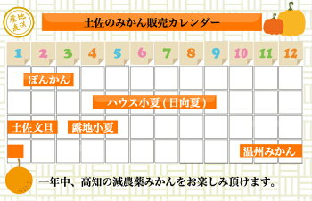 澤村さんの柑橘類販売カレンダー