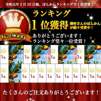 ポンカンランキング1位獲得