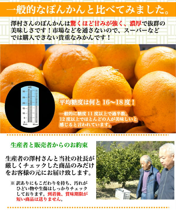楽天市場 糖度16度 減農薬 ぽんかん 約５kg 訳あり品 高知県 室戸産 澤村さんの完熟ポンカン 濃厚 樹上完熟 送料無料 土佐カツオとうなぎ通販 池澤鮮魚