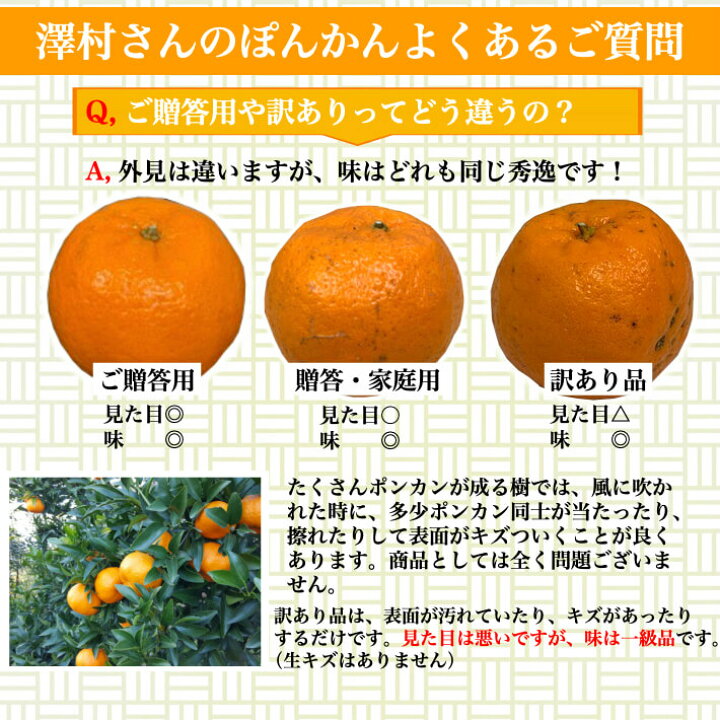 楽天市場 糖度16度 減農薬 ぽんかん 約５kg 訳あり品 高知県 室戸産 澤村さんの完熟ポンカン 濃厚 樹上完熟 送料無料 土佐カツオとうなぎ通販 池澤鮮魚