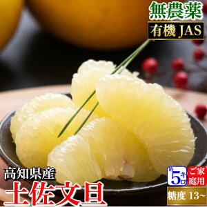 _2{\^ _ L@JASF yU L@͔| ƒp U mY 2L-L  I[KjbN x13x