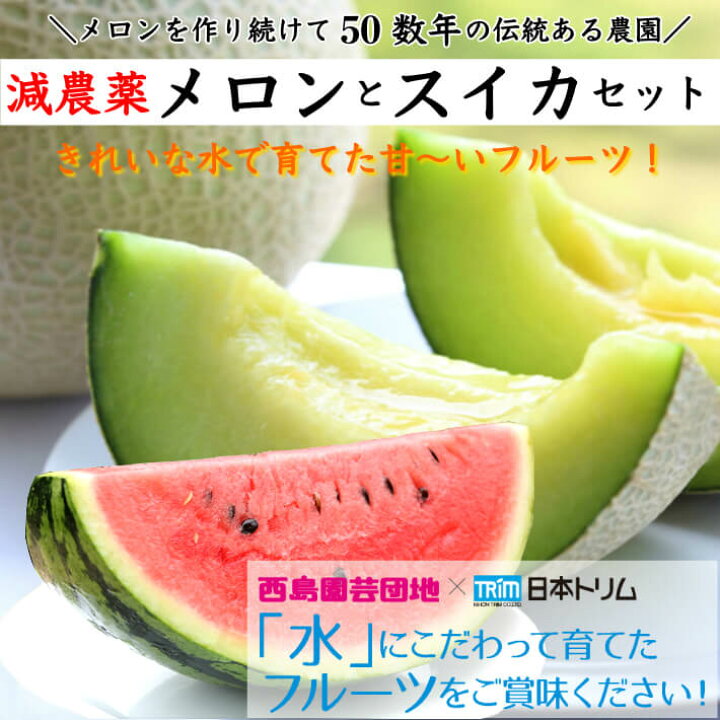 楽天市場 母の日 ギフト 高知県産 マスクメロン スイカセット 土佐の楽園 大玉 お取り寄せ 誕生日 贈答 高級 フルーツ 果物 送料無料 土佐カツオとうなぎ通販 池澤鮮魚 楽天市場 母の日 ギフト 高知県産 マスクメロン スイカセット 土佐の楽園 大玉 お取り寄せ 誕生日 贈答 高級 フルーツ 果物 送料無料 土佐カツオとうなぎ通販 池澤鮮魚
