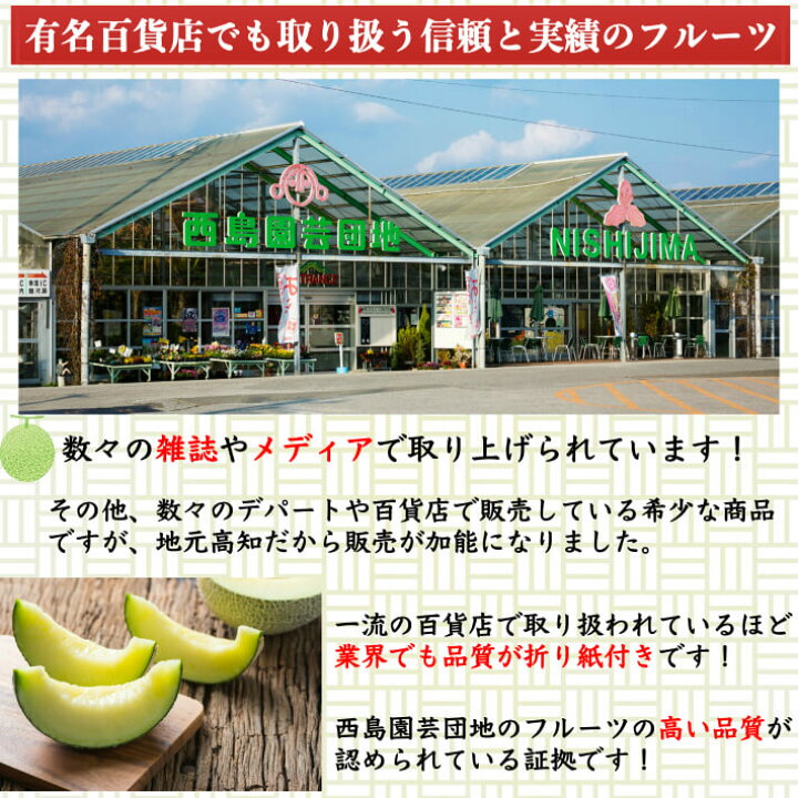 楽天市場 ギフト 高知県産 マスクメロン スイカセット 土佐の楽園 大玉 お取り寄せ 誕生日 贈答 高級 フルーツ 果物 送料無料 土佐カツオとうなぎ通販 池澤鮮魚