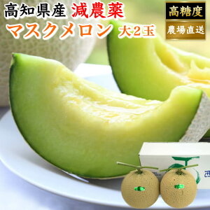 Mtg mY }XN ẙy (1,5kg×2)  ƒp a v[g  t[c ʕ 