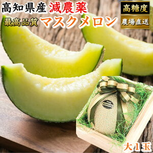 メロン 5kgの人気商品 通販 価格比較 価格 Com