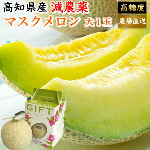 Mtg mY p }XN ẙy (1,5kg)  a v[g  t[c ʕ 