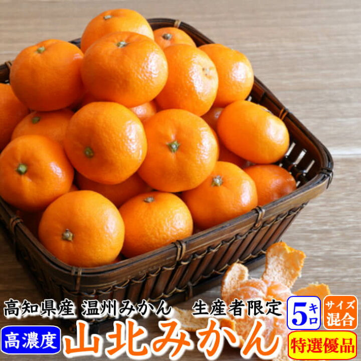 楽天市場】早生 山北みかん 減農薬 約5kg 優品 サイズ混合 高濃度 高知 