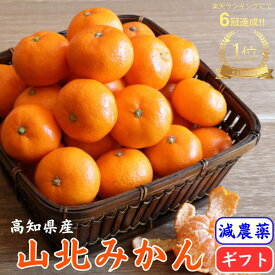 ＼11月発送予約／ 極早生 山北みかん 減農薬 選べる容量 ギフト 優品 サイズおまかせ 高濃度 高知県産 生産者限定 お歳暮 ギフト プレゼント 温州みかん 送料無料