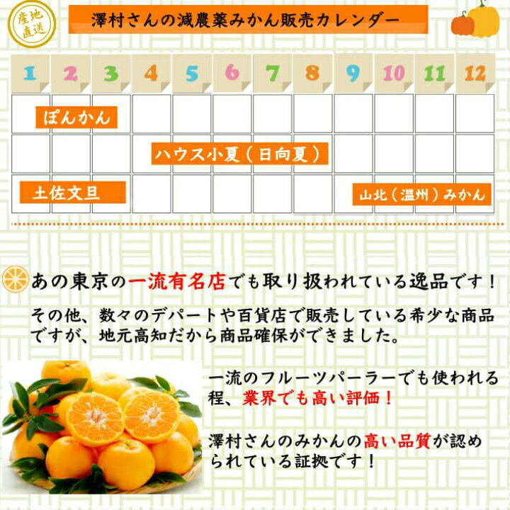 楽天市場 早生 山北みかん 減農薬 約2kg 訳あり お試し 少量 サイズ混合 高濃度 澤村さんの減農薬ミカン 温州みかん 送料無料 訳あり 高知県産 土佐カツオとうなぎ通販 池澤鮮魚
