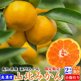 早生 山北みかん 減農薬 約2kg 訳あり お試し 少量 サイズ混合 高濃度 澤村さんの減農薬ミカン 温州みかん 送料無料 訳あり 高知県産