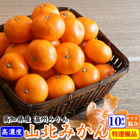 早生 山北みかん 減農薬 約10kg 優品 サイズ混合 高濃度 高知県産 生産者限定 お歳暮 ギフト プレゼント 温州みかん 送料無料