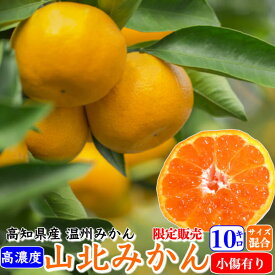 早生 山北みかん 減農薬 約10kg 訳あり サイズ混合 高濃度 高知県産 生産者限定 お歳暮 ギフト プレゼント 温州みかん 送料無料