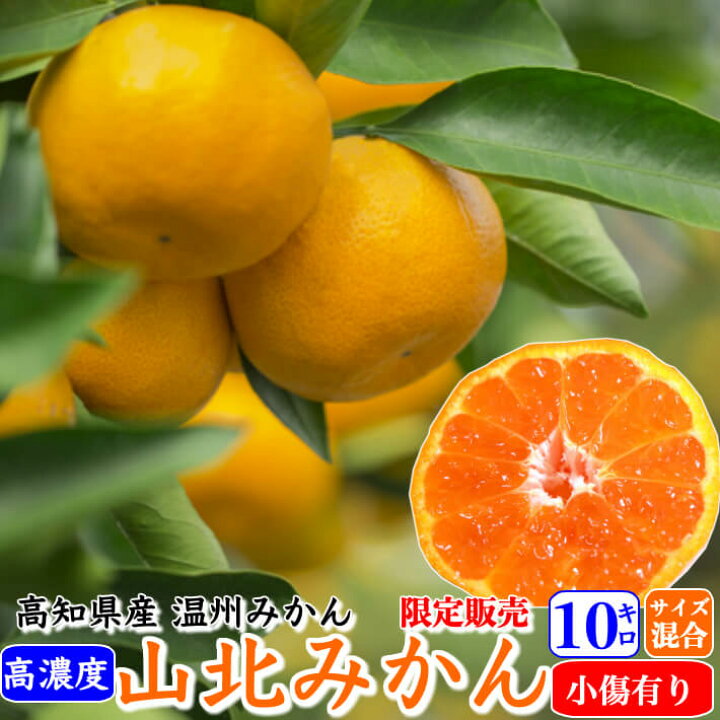 楽天市場】早生 山北みかん 減農薬 約10kg 訳あり サイズ混合 高濃度 
