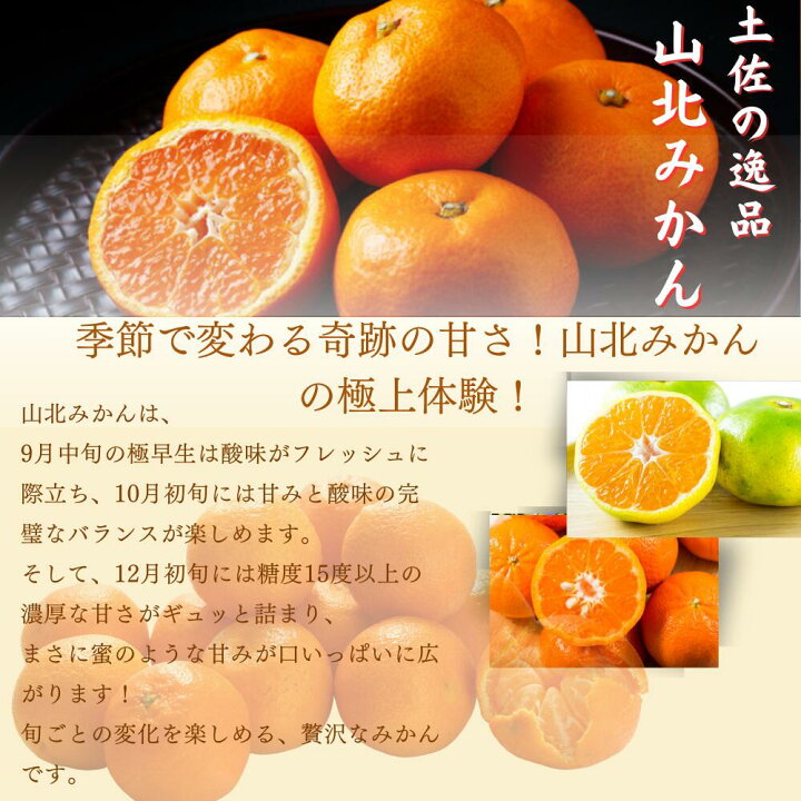 楽天市場】早生 山北みかん 減農薬 約10kg 訳あり サイズ混合 高濃度 