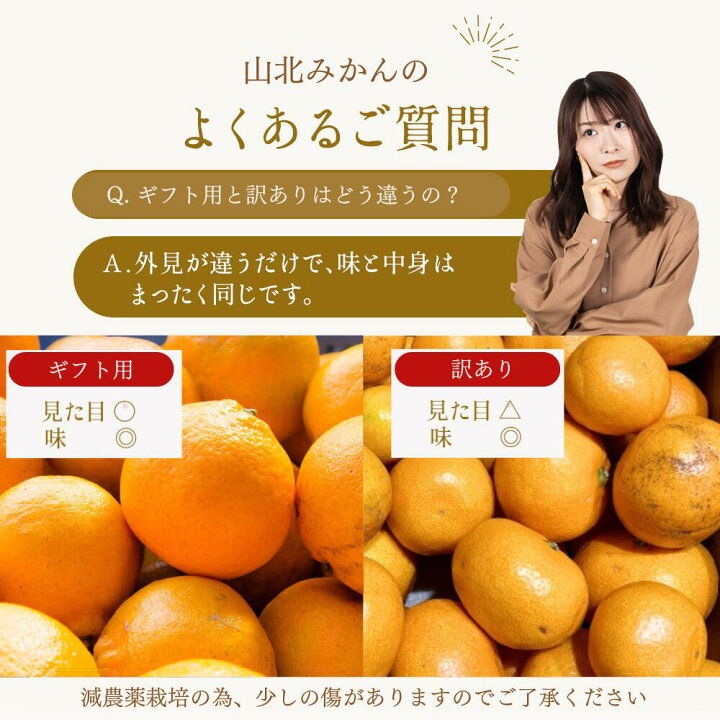 楽天市場】早生 山北みかん 減農薬 約10kg 訳あり サイズ混合 高濃度 