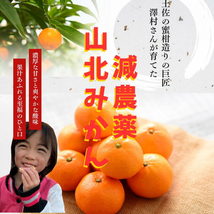楽天市場】早生 山北みかん 減農薬 約5kg 優品 サイズ混合 高濃度 高知 