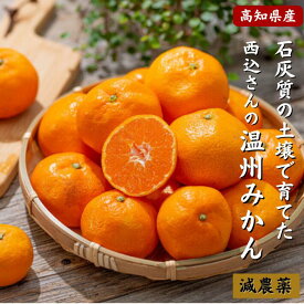 ＼11月発送予約／ 高知県産 減農薬 温州みかん （3kg 5kg 10kg） サイズ混合 石灰質の土壌で育てた蜜柑 ミカン 誕生日 お歳暮 プレゼント ギフト お取り寄せ お取り寄せグルメ 送料無料